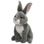 Orchard the Rabbit reference photo