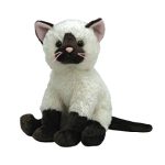 Orient the Cat reference photo