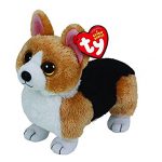 Otis the Corgi reference photo