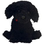 Outlaw the Dog reference photo
