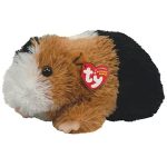 Patches the Guinea Pig reference photo
