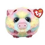 Pigasso the Pig reference photo