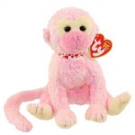 Poet the Monkey reference photo