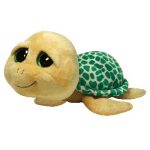 Pokey the Turtle reference photo
