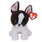 Portia the Boston Terrier reference photo