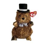 PUNXSUTAWN-e Phil 2006 the Groundhog reference photo
