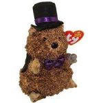 Punxsutawney Phil 2006 the Groundhog reference photo