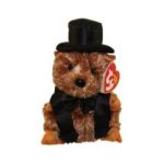 Punxsutawney Phil 2007 the Groundhog reference photo