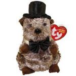 Punxsutawney Phil 2008 the Groundhog reference photo