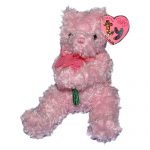 Radiance the Bear reference photo