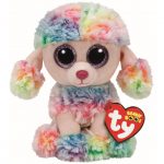 Rainbow the Poodle reference photo