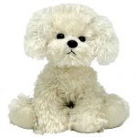 Rascal the Bichon Frise reference photo
