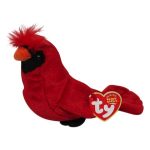 Redford the Cardinal Bird reference photo