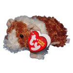 Reese the Guinea Pig reference photo