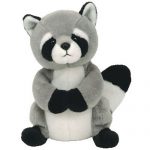 Ricky the Raccoon reference photo