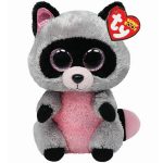 Rocco the Raccoon reference photo