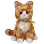 Romeo the Cat reference photo