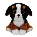 Roscoe the Dog reference photo