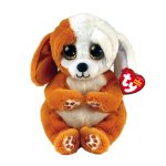 Ruggles the Dog reference photo