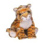 Rumba the Tiger reference photo