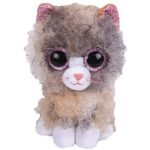 Scrappy the Cat reference photo