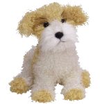 Scrappy the Dog reference photo