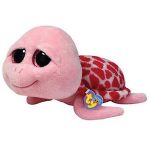 Shellby the Turtle reference photo
