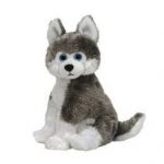 Sledder the Husky reference photo