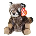 Sneaks the Raccoon reference photo