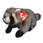Snoops the Raccoon reference photo