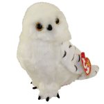 Snowdrop the Owl reference photo