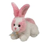 Sorbet the Rabbit reference photo