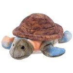 Speedster the Turtle reference photo