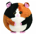 Speedy the Guinea Pig reference photo
