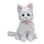 Sugar the Cat reference photo