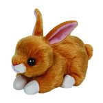 Sweetie Pie the Rabbit reference photo