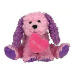 Sweetiekins the Dog reference photo