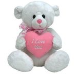 Sweetling the Bear reference photo