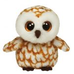 Swoops the Barn Owl reference photo