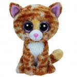 Tabitha the Cat reference photo