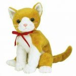 Tangles the Cat reference photo