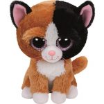 Tauri the Cat reference photo