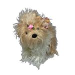 Tibby the Dog reference photo