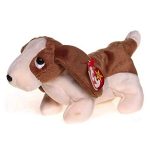 Tracker the Bassett Hound reference photo