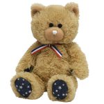 Uncle Sam the Bear White Nose reference photo