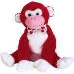Valentine the Monkey reference photo