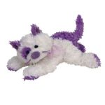Violetta the Cat reference photo