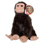 Weaver the Monkey - Brookfield Zoo Tag reference photo