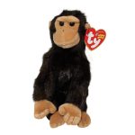 Weaver the Monkey reference photo