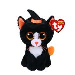 Witchie the Cat reference photo